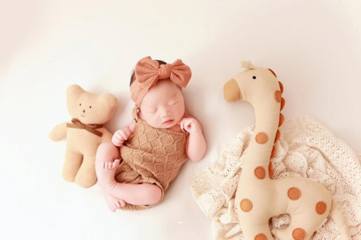 余江宝宝虾的做法 余江宝宝虾的做法